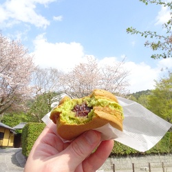 Test_000